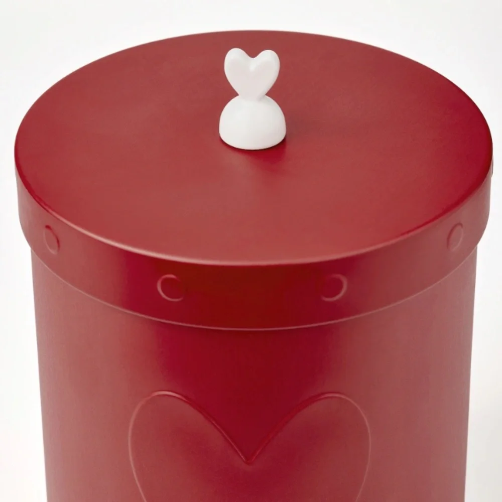IKEA Vinterfint Red Tin Canister